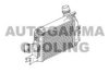 DACIA 14461B680C Intercooler, charger